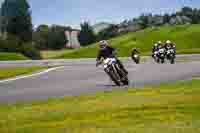 Lower Group White Bikes